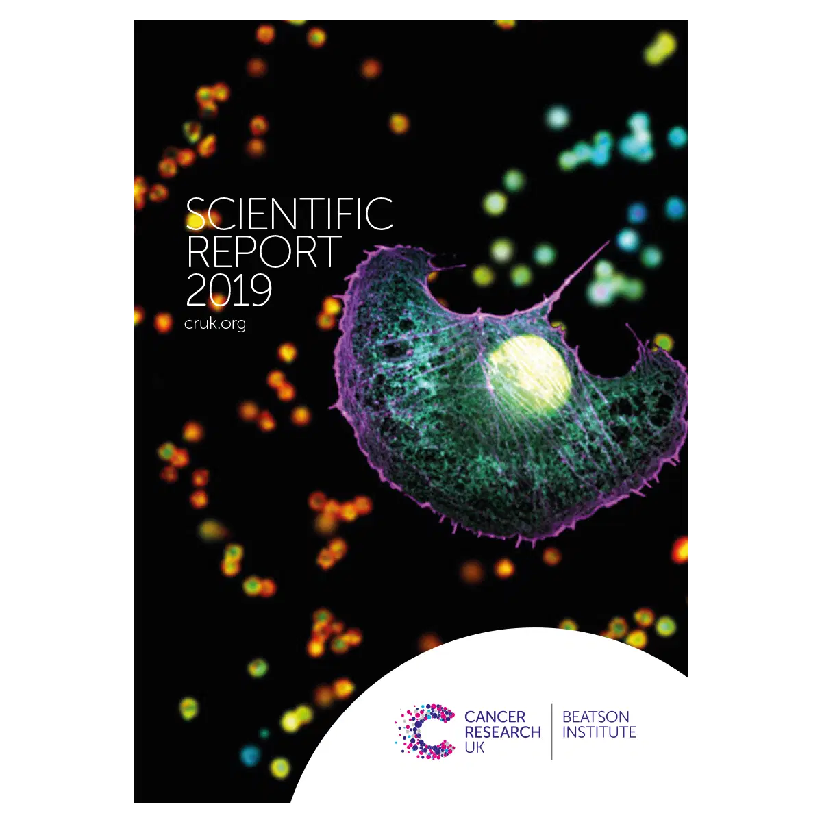 Cover of the Cancer Research UK Beatson Institute Scientific Report 2019, featuring a colourful microscopic image of a cell with a glowing nucleus against a black background with scattered bright dots.