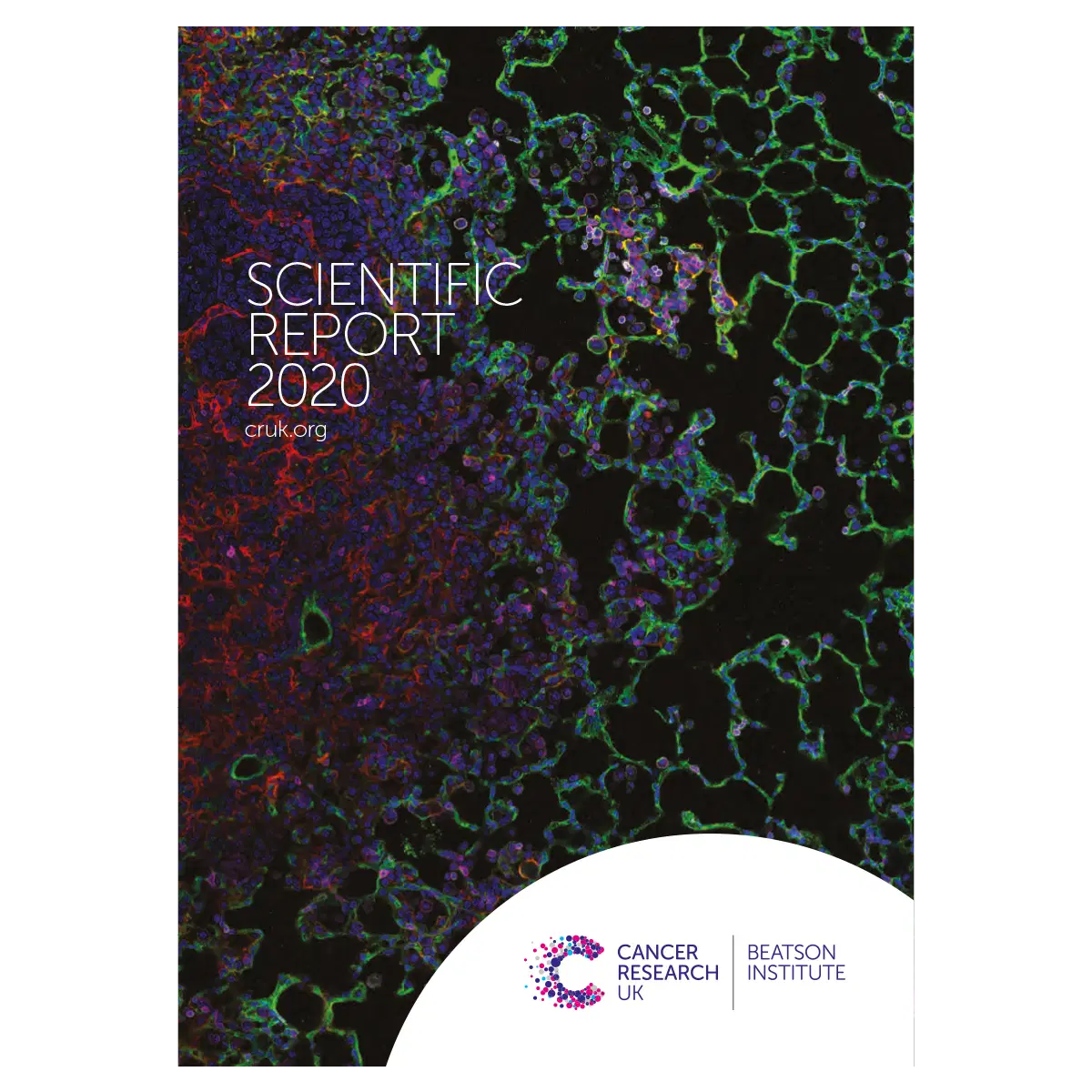 Cover of the Scientific Report 2020 from Cancer Research UK Beatson Institute, featuring a colourful microscopic image of cells with scientific text and logos on a white background at the bottom.
