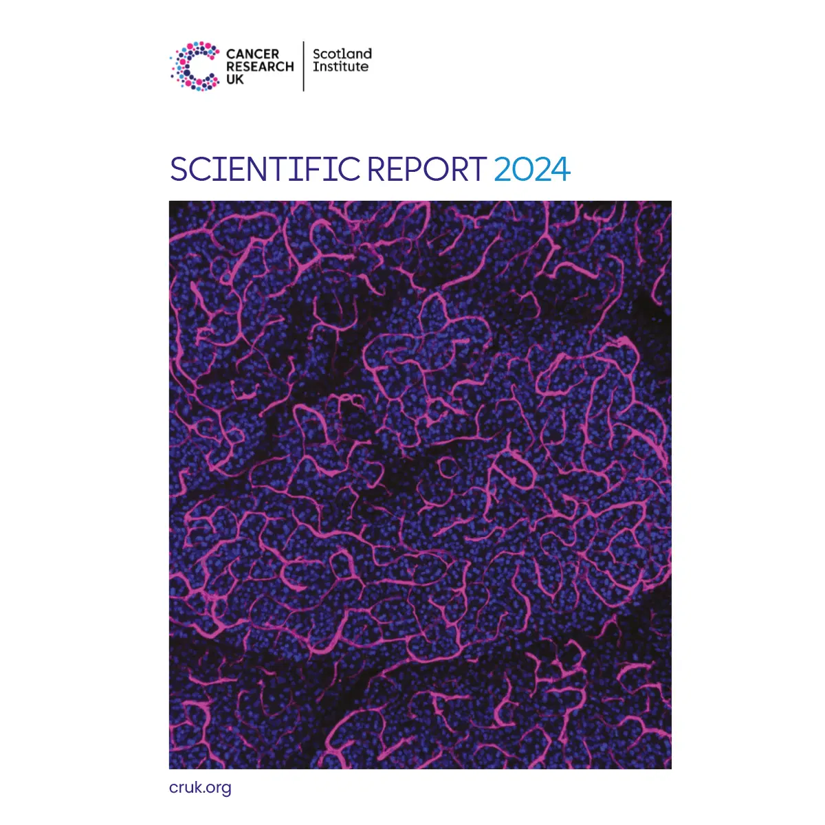 Cover of the Cancer Research UK Scotland Institute Scientific Report 2024, featuring a microscopic image with pink and purple cell structures on a dark background. The logo and website cruk.org appear at the top and bottom.